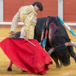 Pozoblanco - Corrida de toros - Sábado 29 de septiembre de 2018