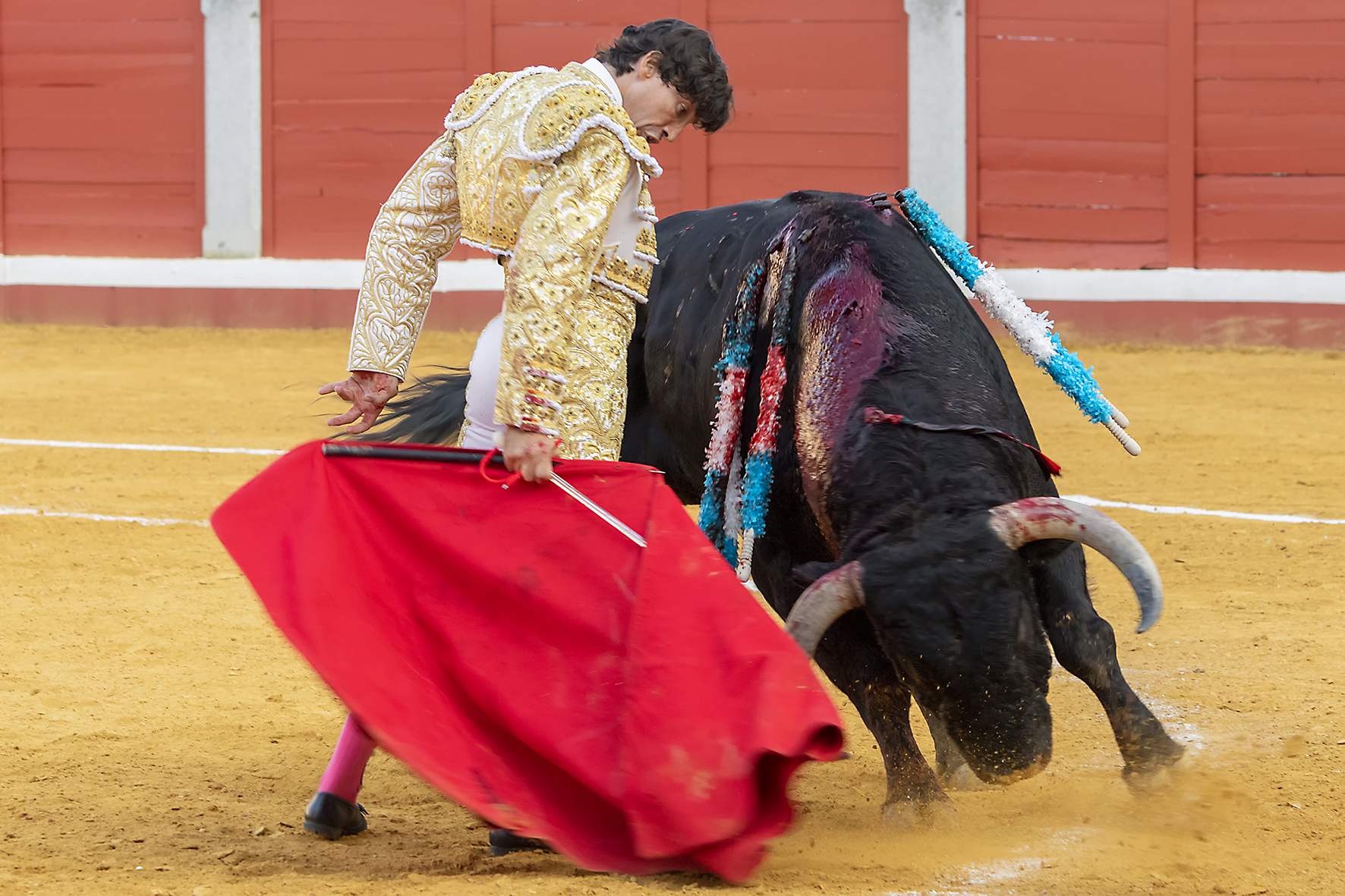 Pozoblanco - Corrida de toros - Sábado 29 de septiembre de 2018