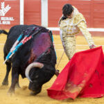 Pozoblanco - Corrida de toros - Sábado 29 de septiembre de 2018