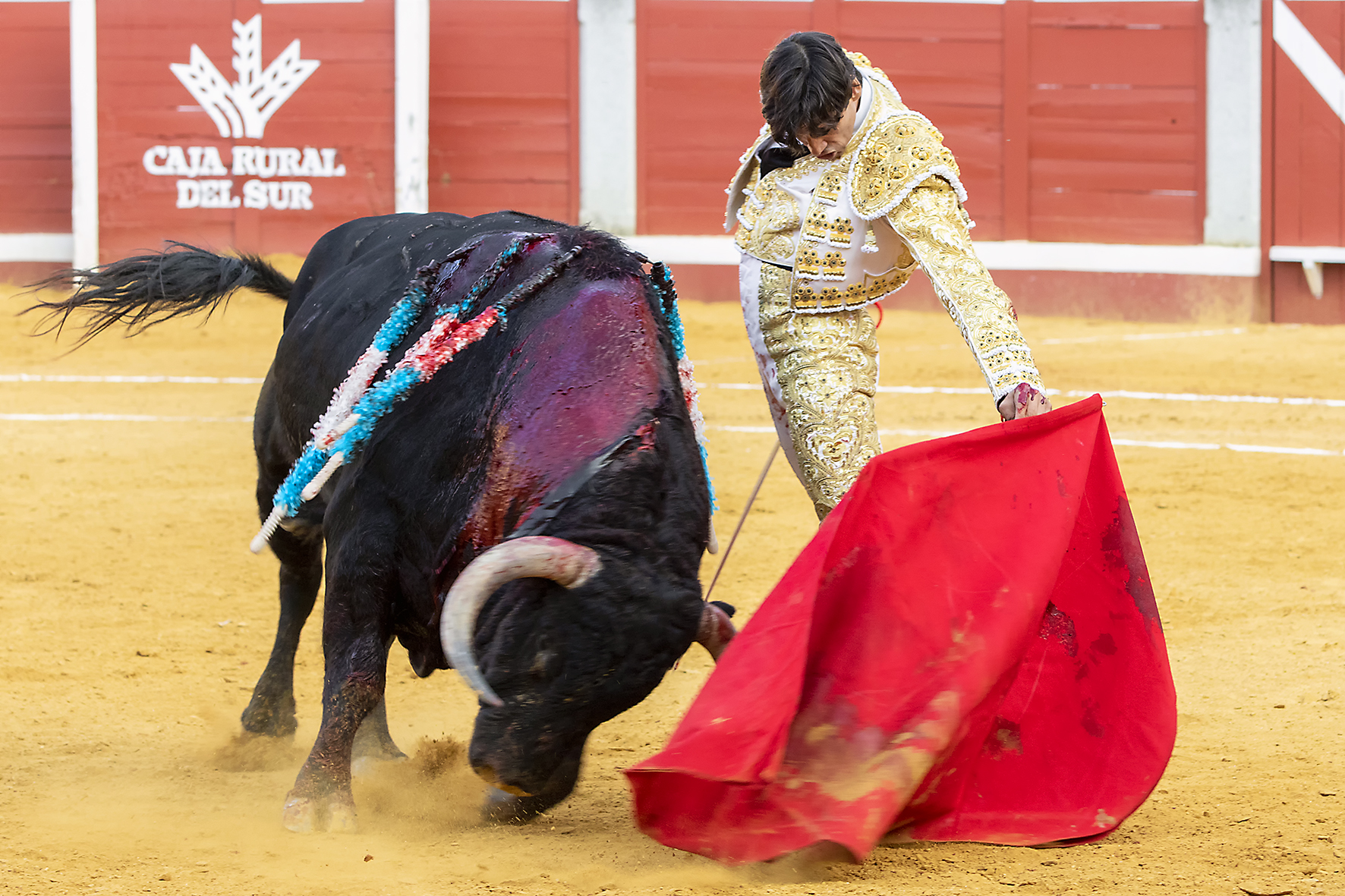 Pozoblanco - Corrida de toros - Sábado 29 de septiembre de 2018