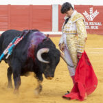 Pozoblanco - Corrida de toros - Sábado 29 de septiembre de 2018