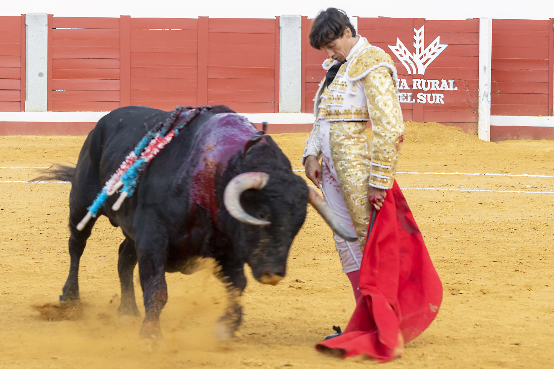 Pozoblanco - Corrida de toros - Sábado 29 de septiembre de 2018