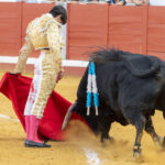 Pozoblanco - Corrida de toros - Sábado 29 de septiembre de 2018