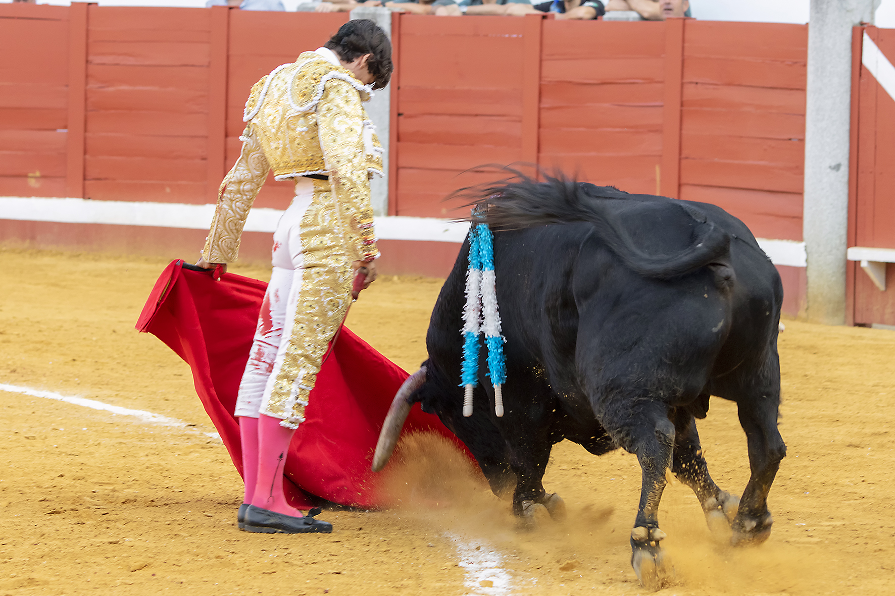 Pozoblanco - Corrida de toros - Sábado 29 de septiembre de 2018