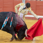 Pozoblanco - Corrida de toros - Sábado 29 de septiembre de 2018