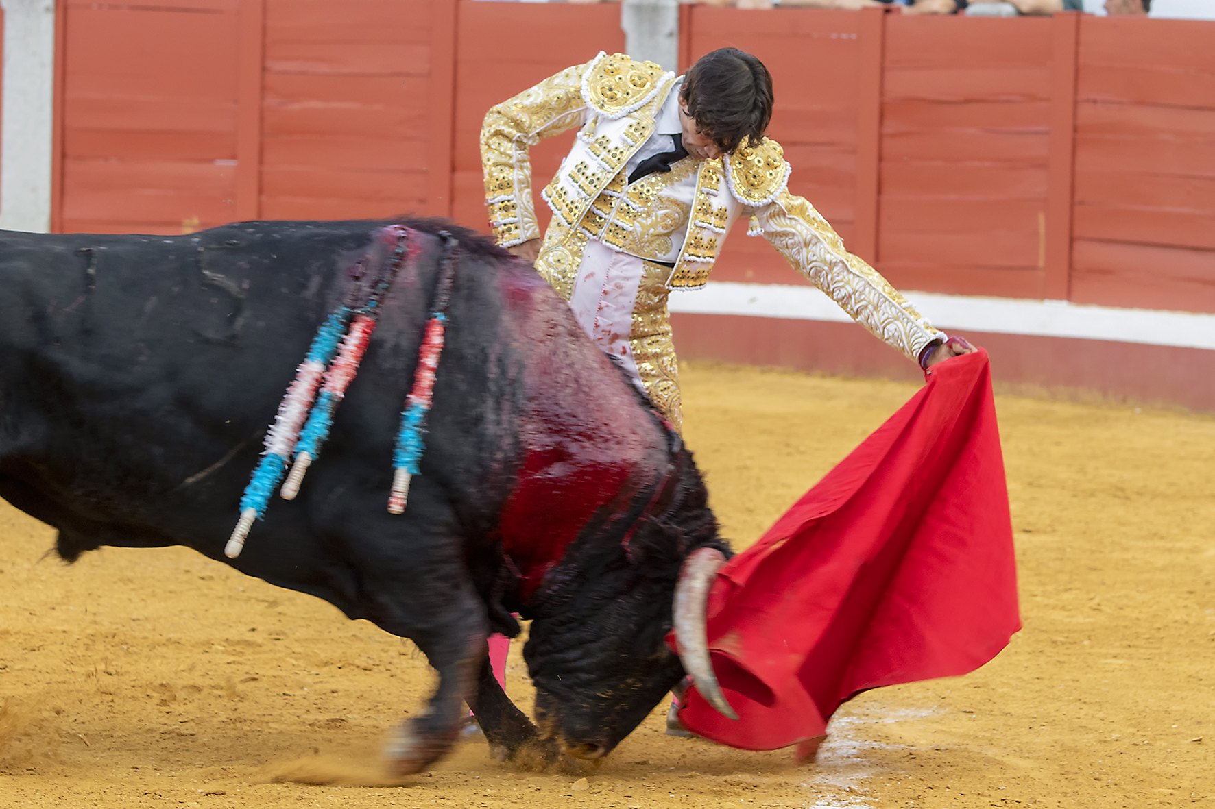 Pozoblanco - Corrida de toros - Sábado 29 de septiembre de 2018