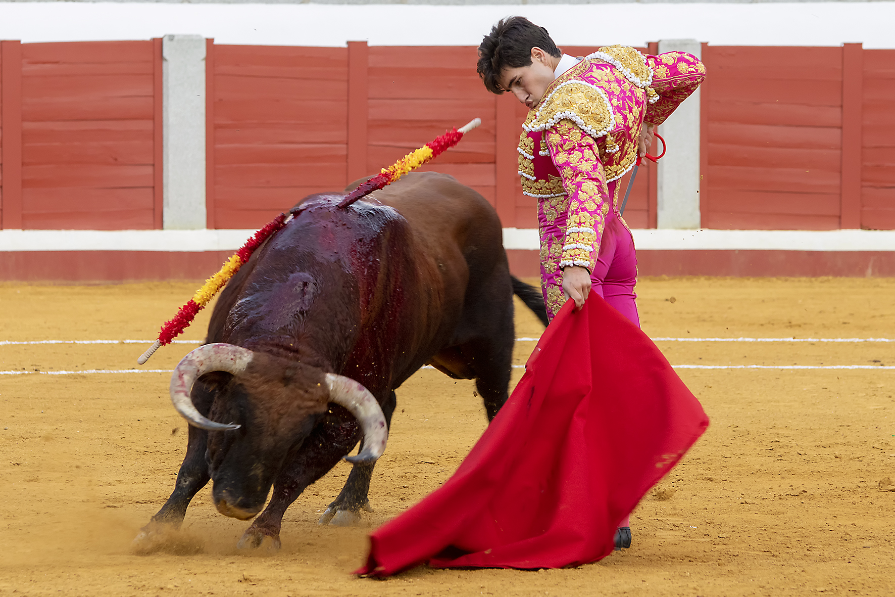 Pozoblanco - Corrida de toros - Sábado 29 de septiembre de 2018