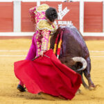Pozoblanco - Corrida de toros - Sábado 29 de septiembre de 2018