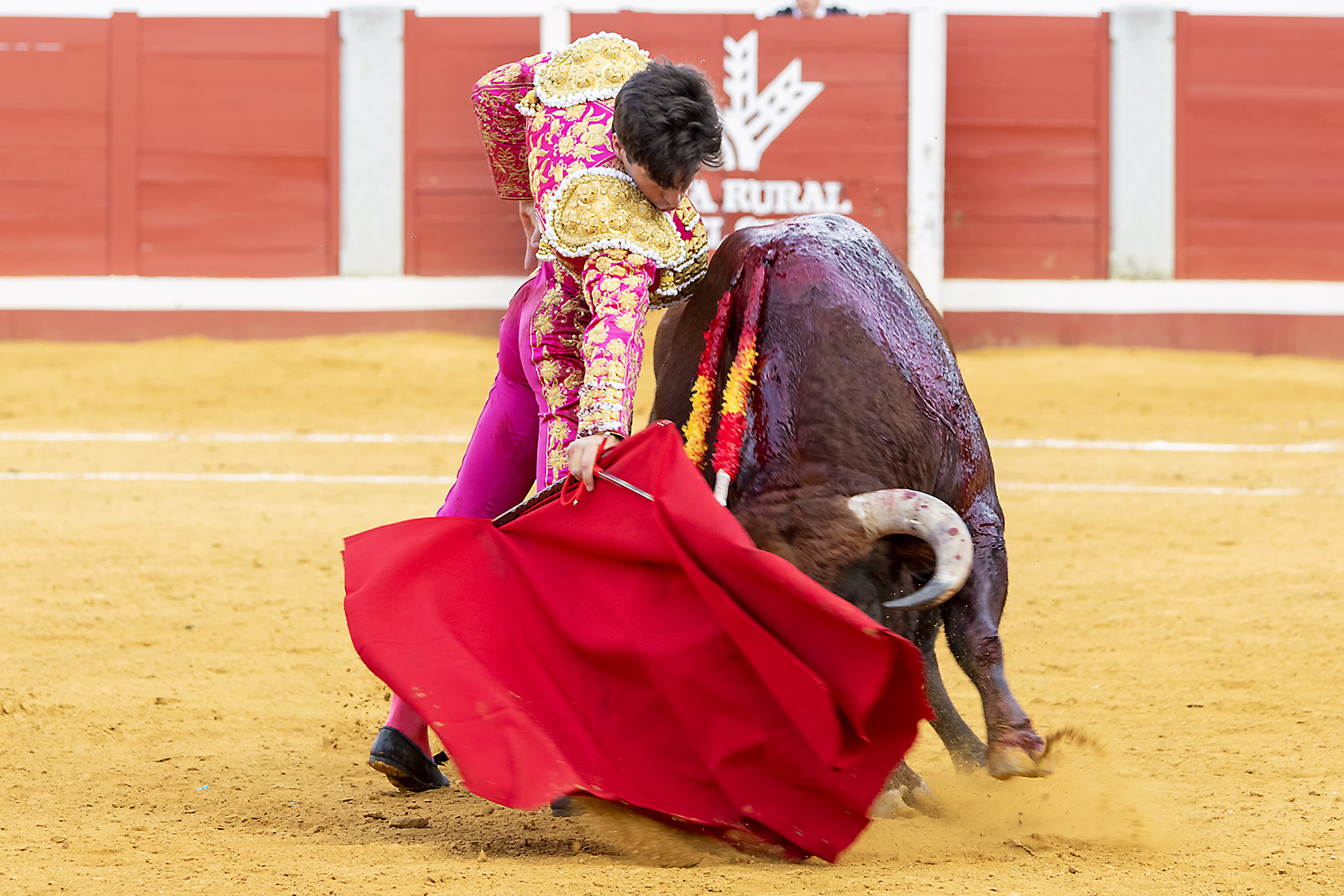 Pozoblanco - Corrida de toros - Sábado 29 de septiembre de 2018