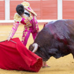 Pozoblanco - Corrida de toros - Sábado 29 de septiembre de 2018