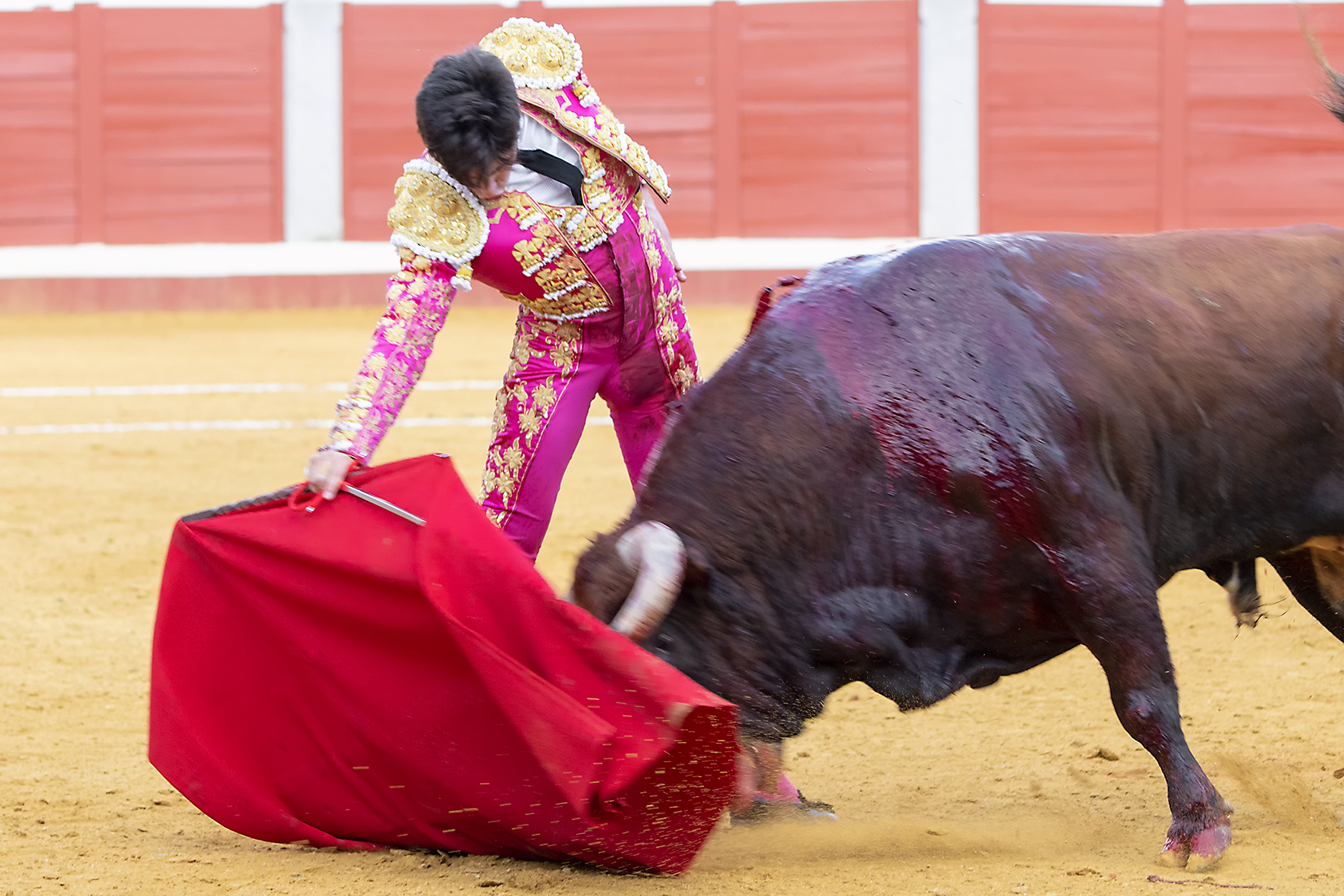 Pozoblanco - Corrida de toros - Sábado 29 de septiembre de 2018