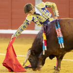 Pozoblanco - Corrida de toros - Sábado 29 de septiembre de 2018