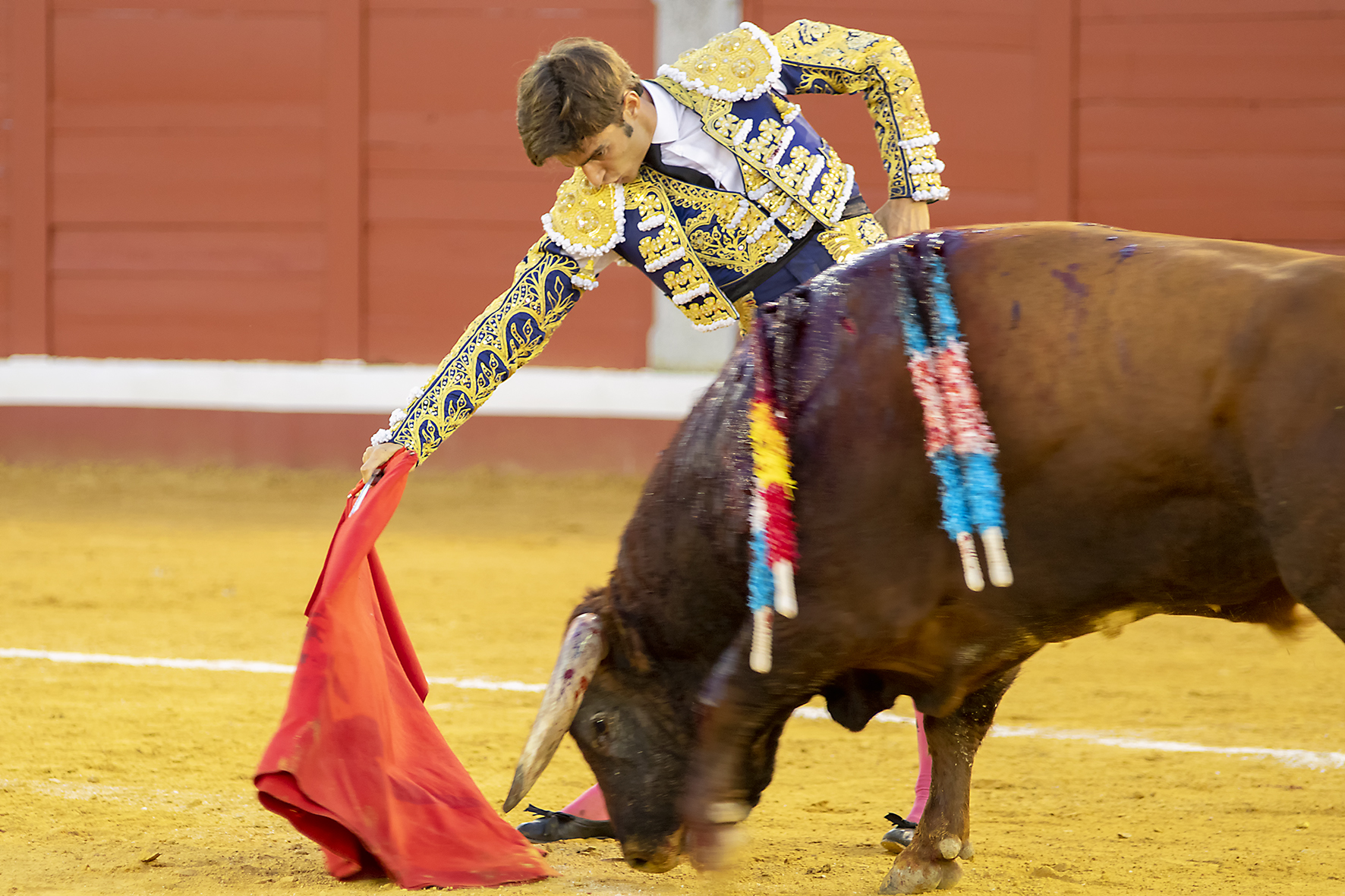 Pozoblanco - Corrida de toros - Sábado 29 de septiembre de 2018