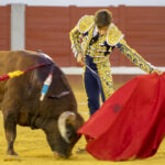 Pozoblanco - Corrida de toros - Sábado 29 de septiembre de 2018