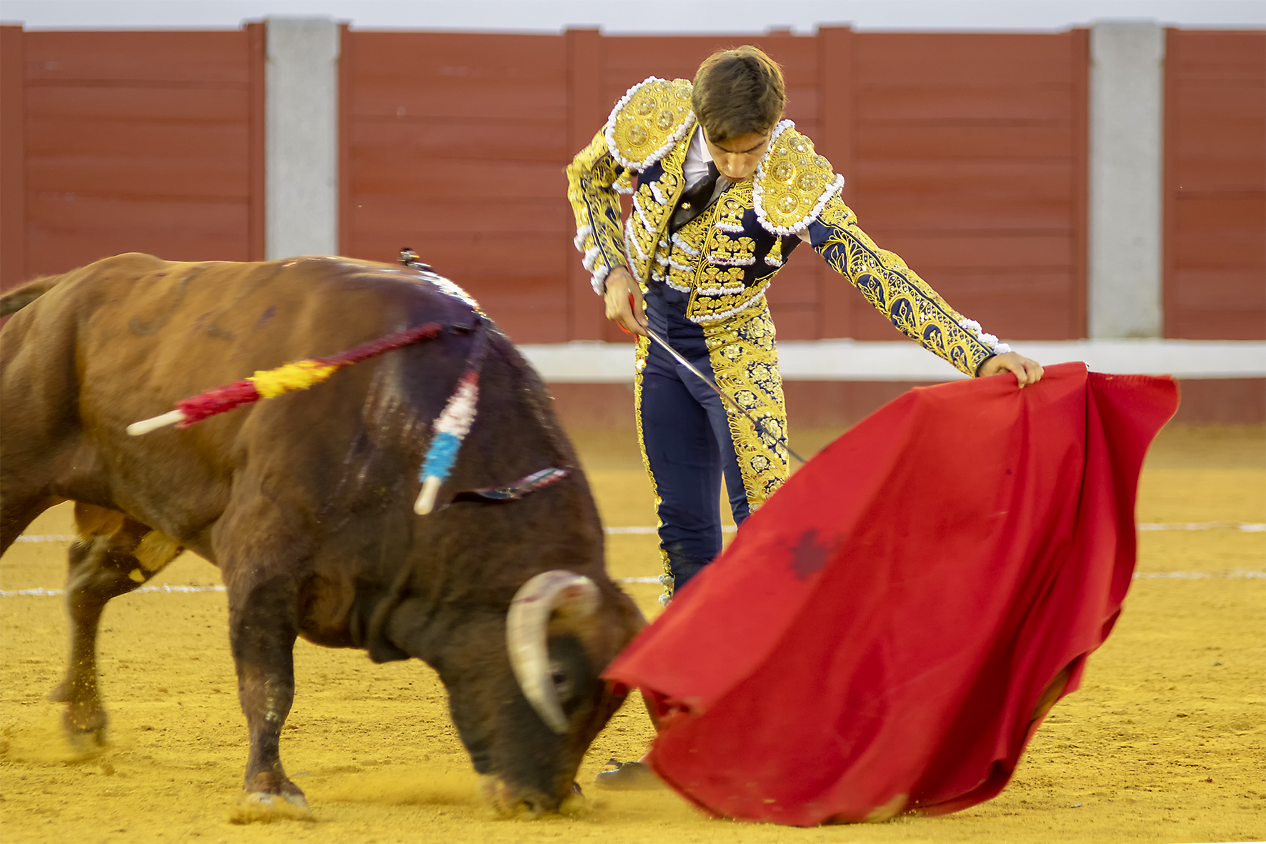 Pozoblanco - Corrida de toros - Sábado 29 de septiembre de 2018