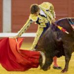Pozoblanco - Corrida de toros - Sábado 29 de septiembre de 2018
