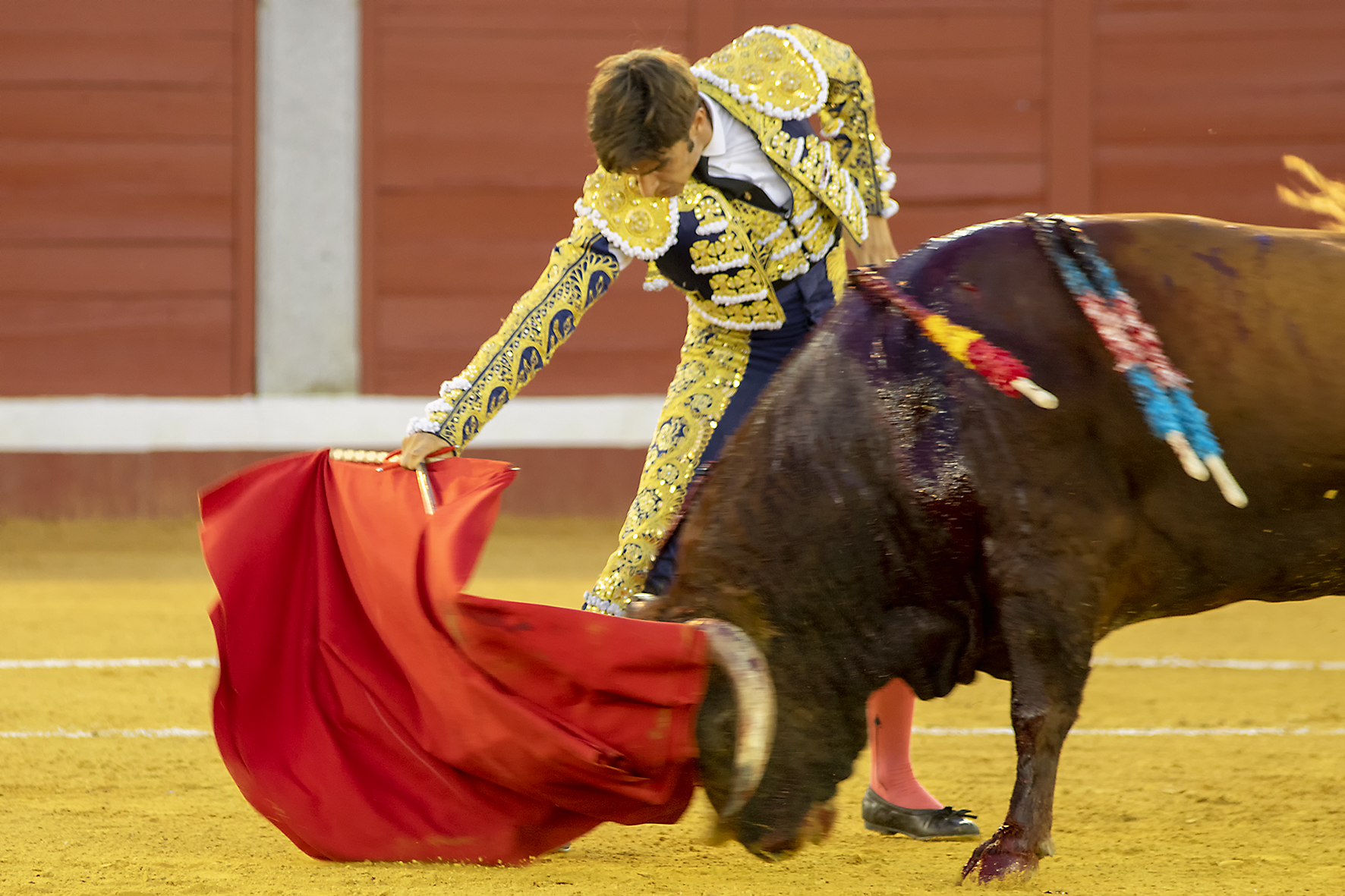 Pozoblanco - Corrida de toros - Sábado 29 de septiembre de 2018