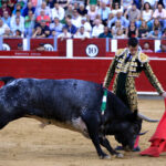 Albacete, 16 de septiembre de 2018