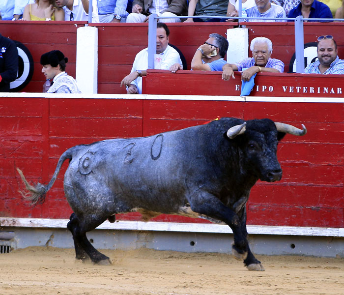 Albacete, 16 de septiembre de 2018