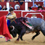 Albacete, 16 de septiembre de 2018