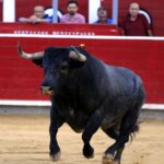 Albacete, 16 de septiembre de 2018