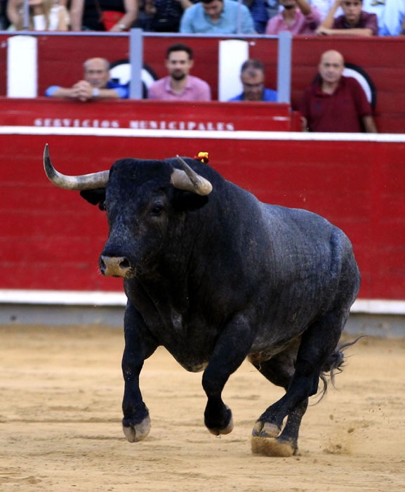 Albacete, 16 de septiembre de 2018