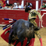 Albacete, 16 de septiembre de 2018