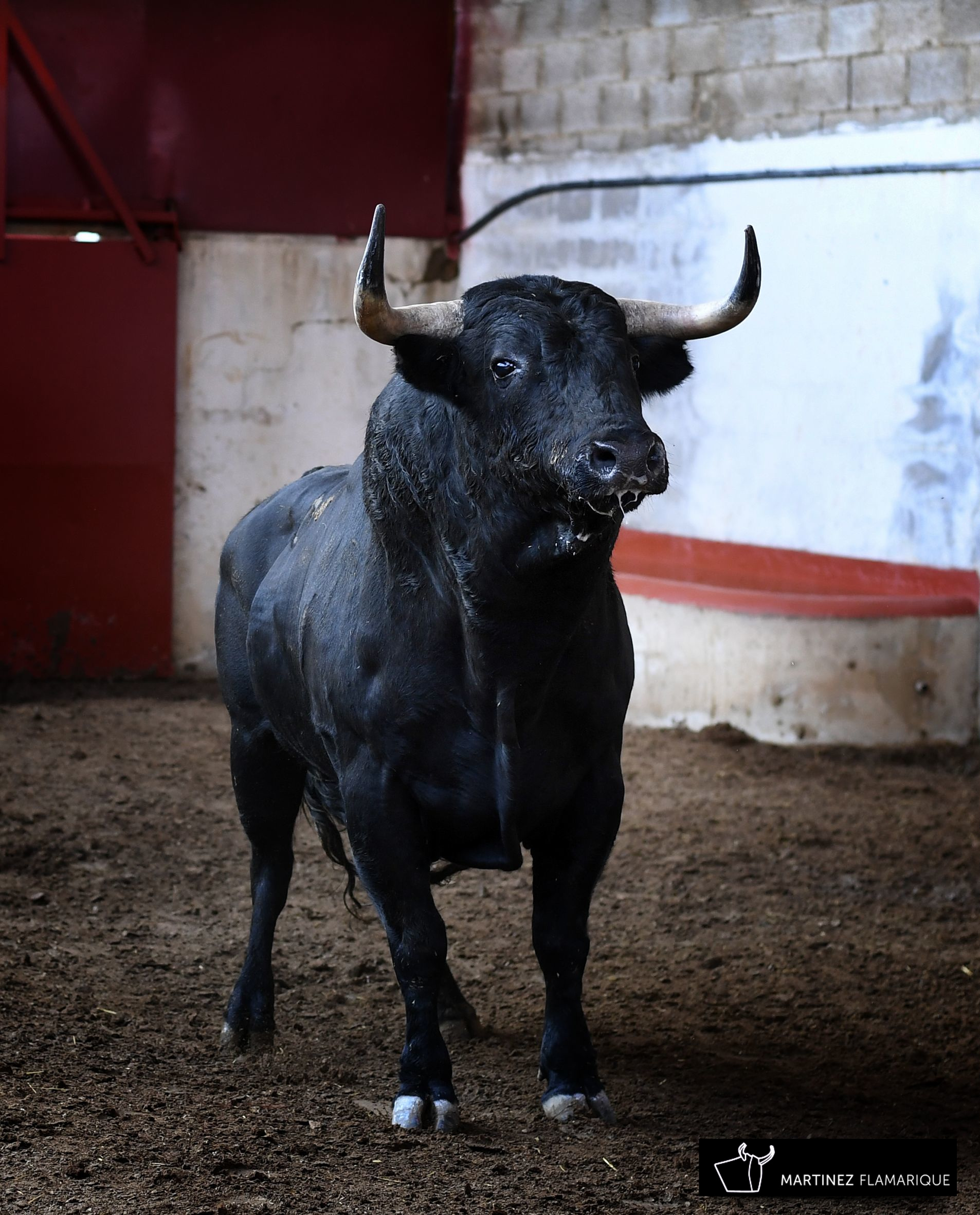 Palencia - Sorteo - Sábado 1 de septiembre de 2018