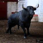 Palencia - Sorteo - Sábado 1 de septiembre de 2018