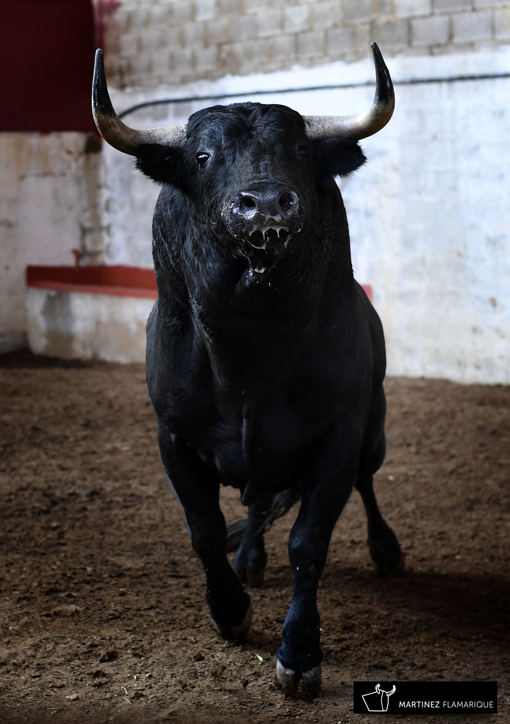 Palencia - Sorteo - Sábado 1 de septiembre de 2018