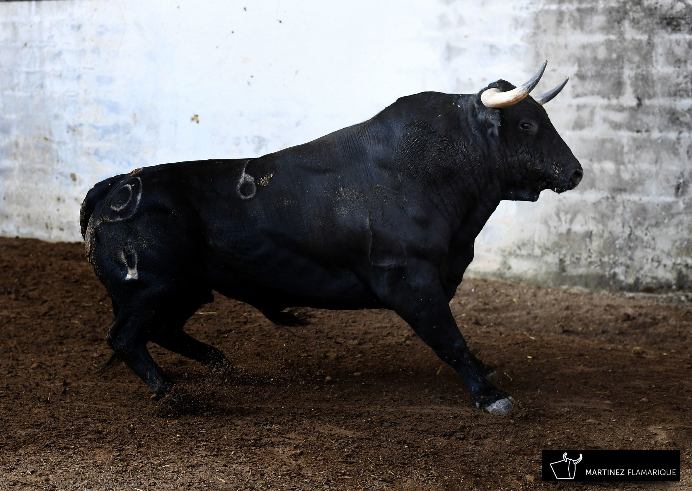 Palencia - Sorteo - Sábado 1 de septiembre de 2018