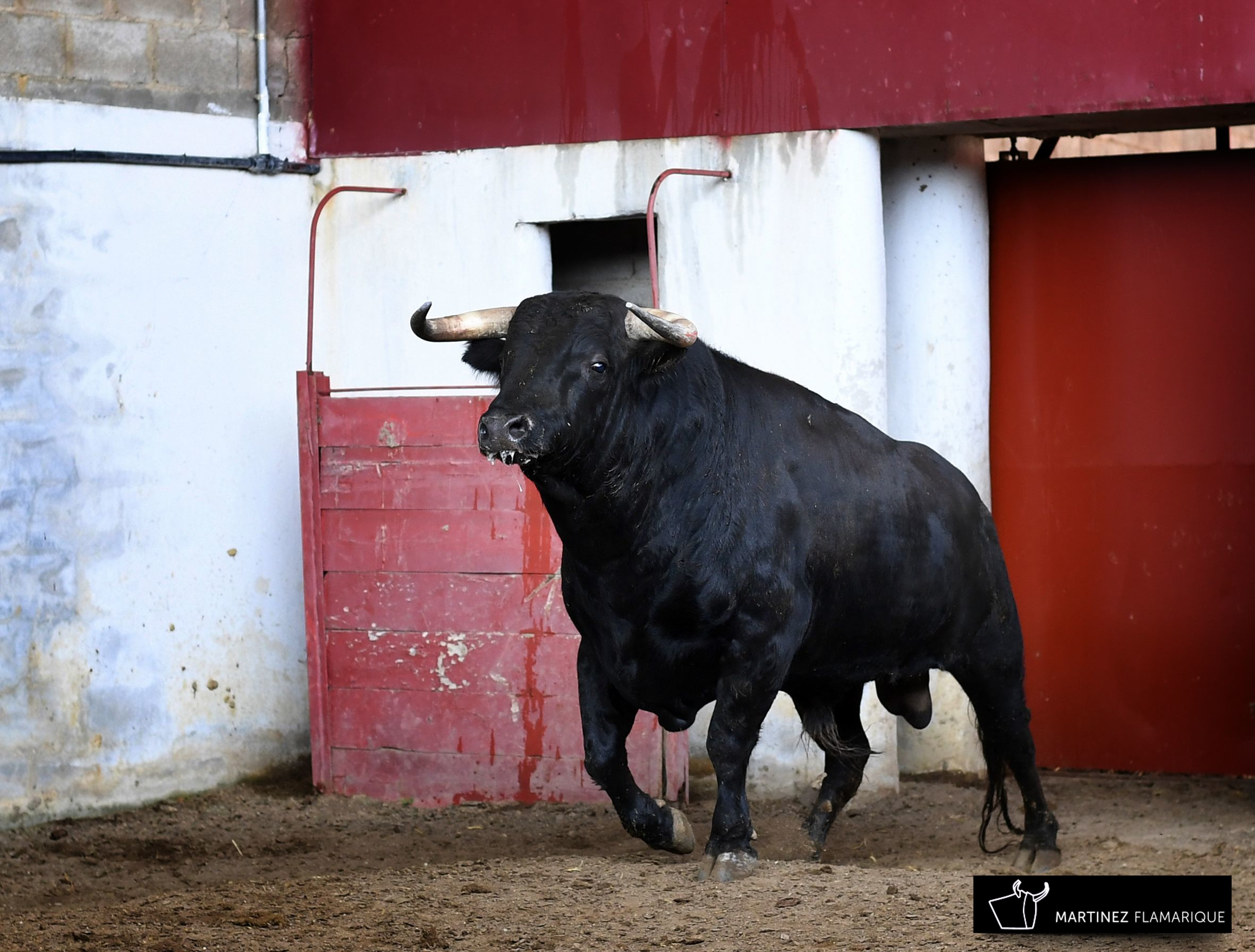 Palencia - Sorteo - Sábado 1 de septiembre de 2018