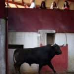 Palencia - Sorteo - Sábado 1 de septiembre de 2018