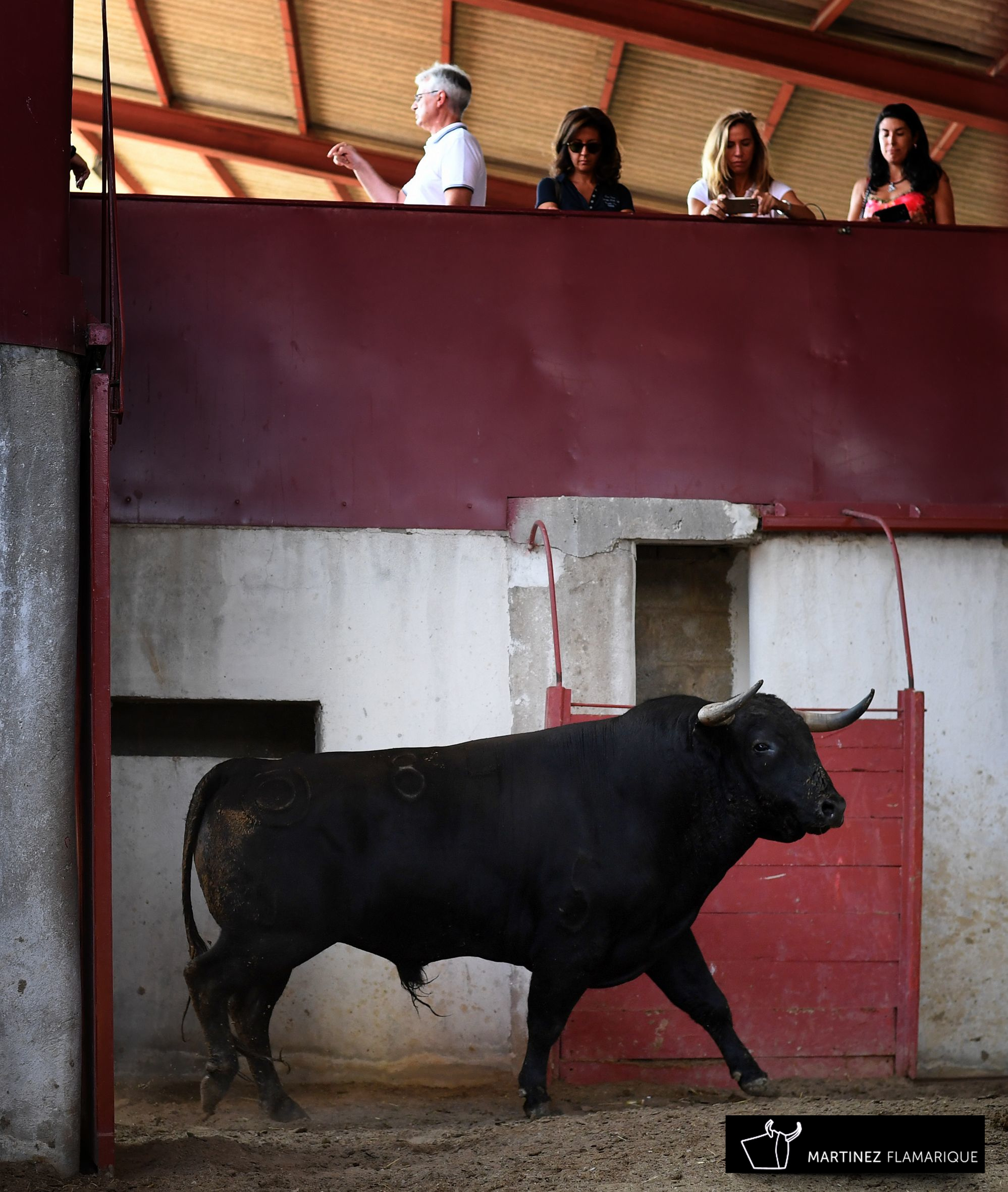 Palencia - Sorteo - Sábado 1 de septiembre de 2018