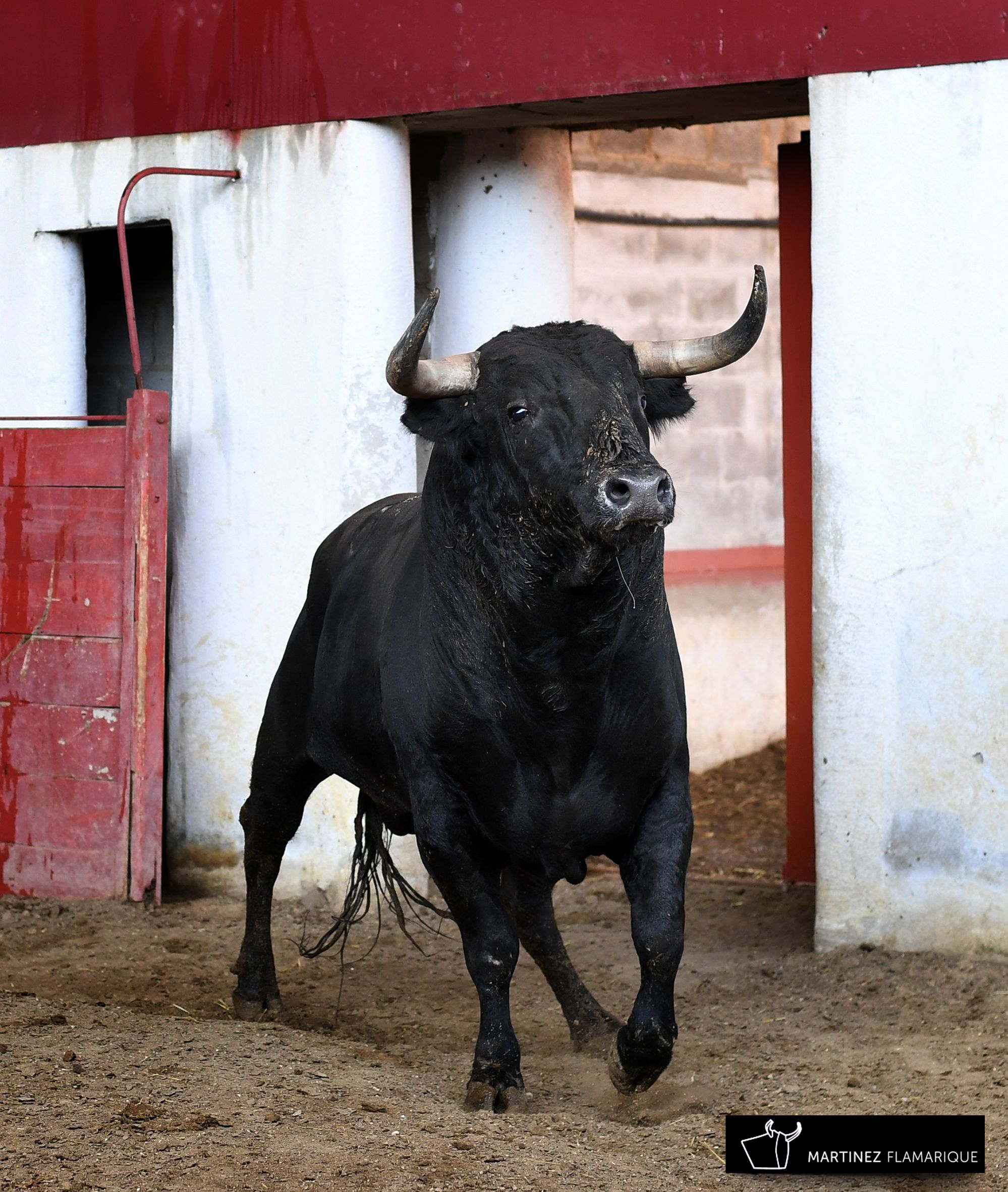 Palencia - Sorteo - Sábado 1 de septiembre de 2018