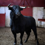 Palencia - Sorteo - Sábado 1 de septiembre de 2018