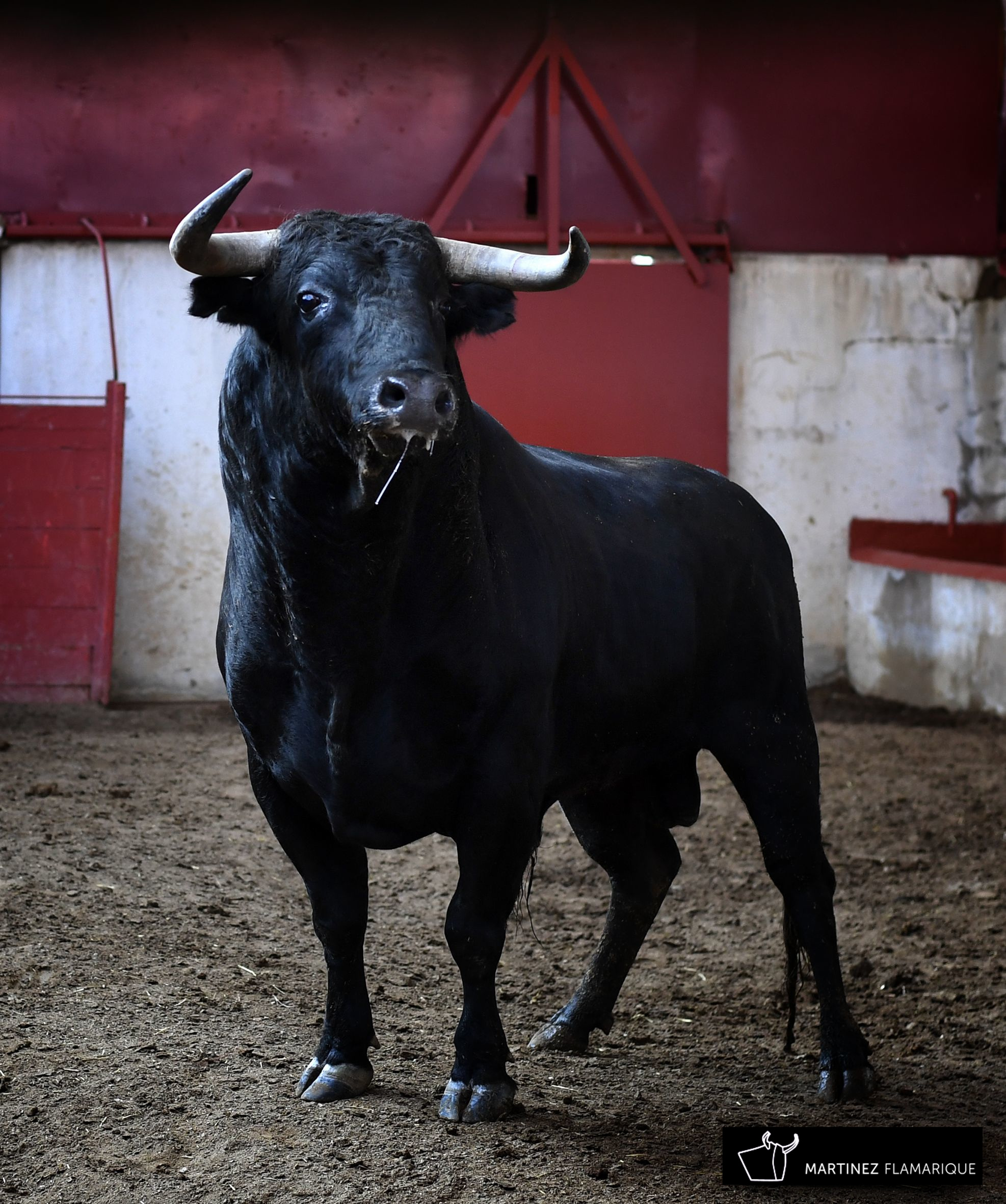 Palencia - Sorteo - Sábado 1 de septiembre de 2018