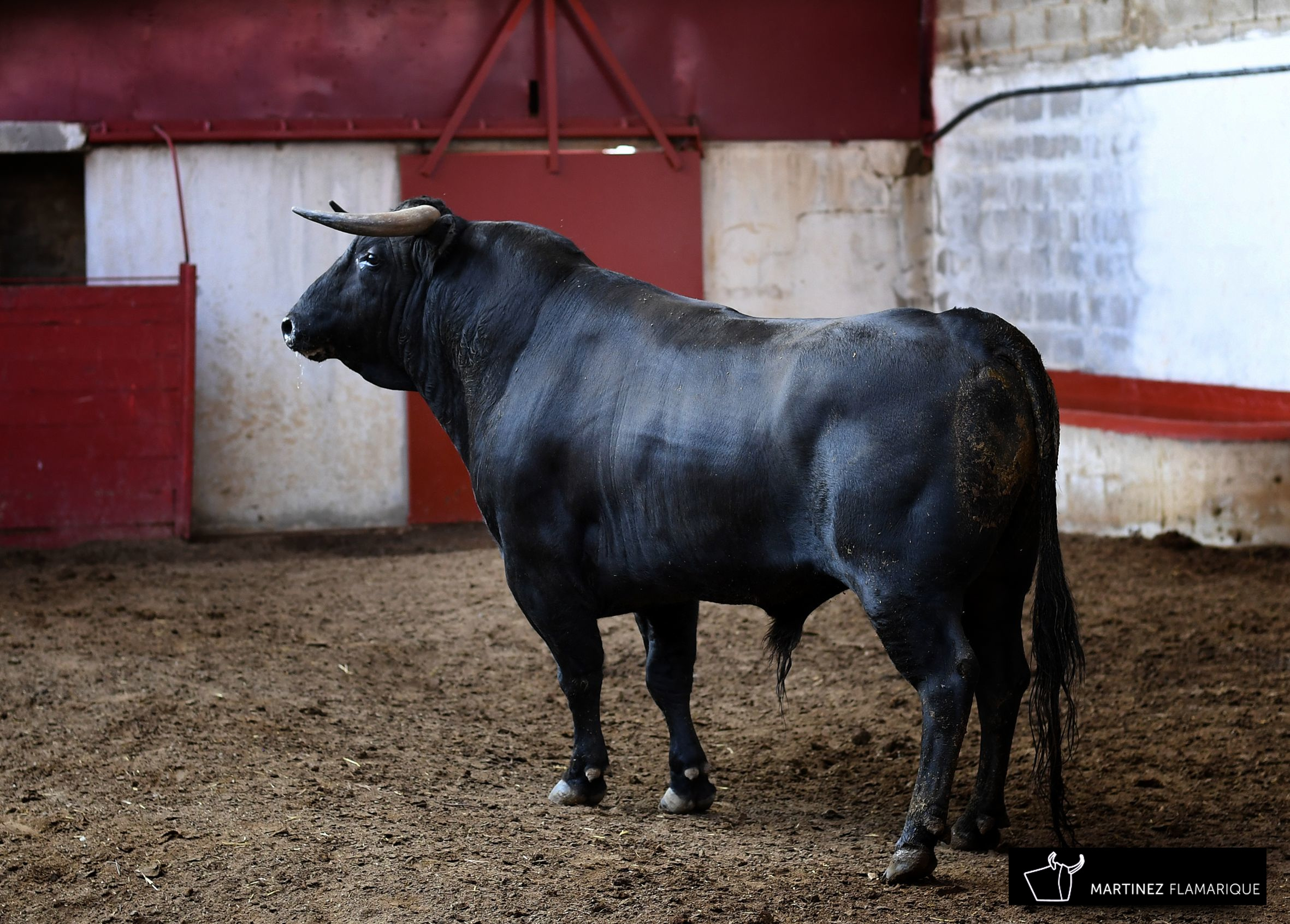 Palencia - Sorteo - Sábado 1 de septiembre de 2018