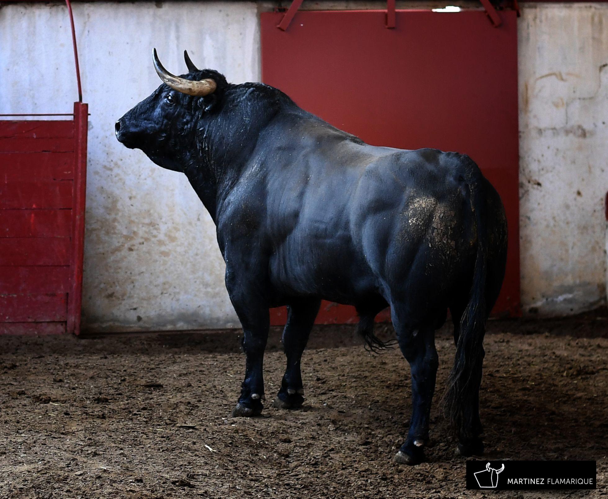 Palencia - Sorteo - Sábado 1 de septiembre de 2018