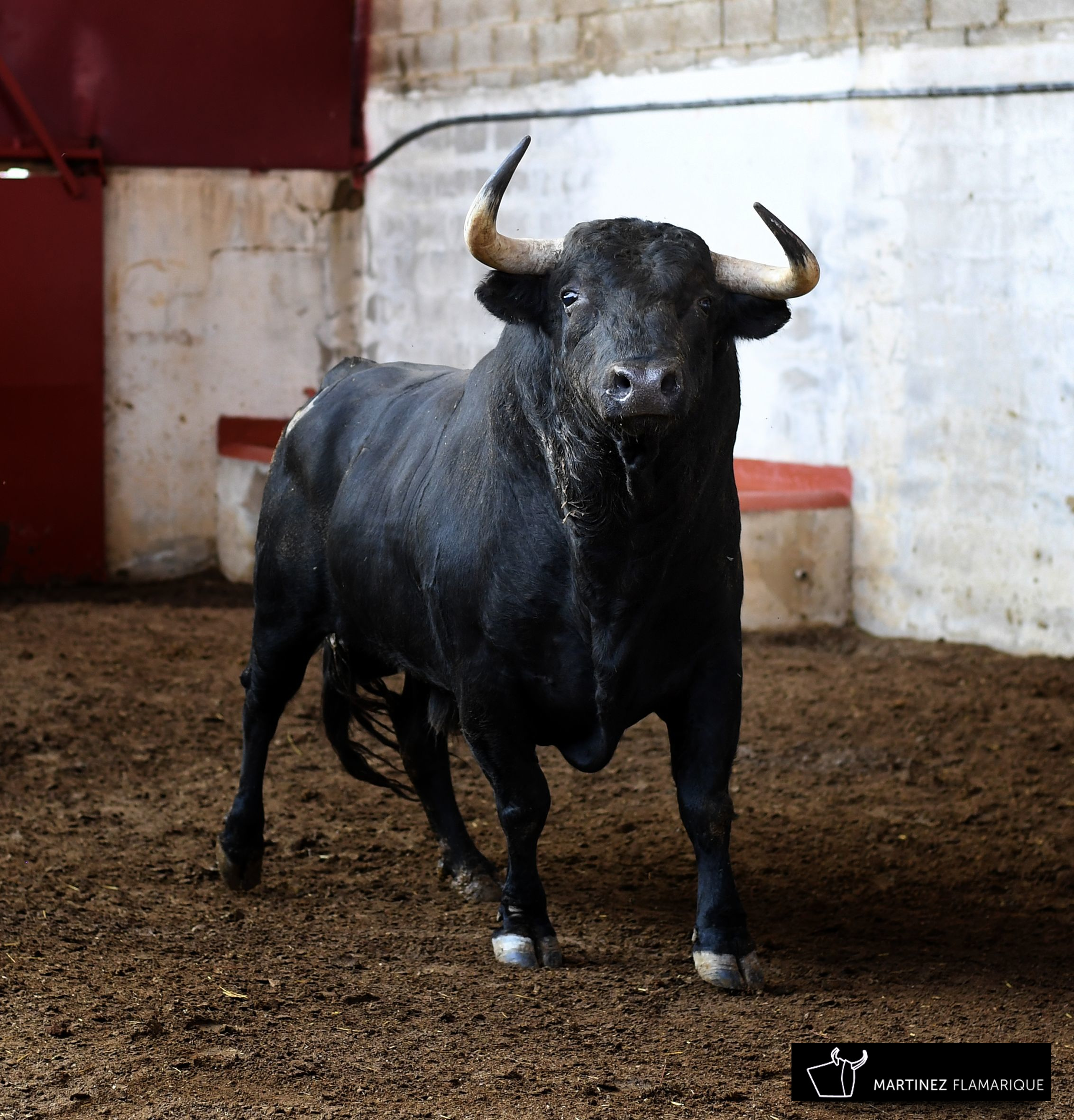 Palencia - Sorteo - Sábado 1 de septiembre de 2018