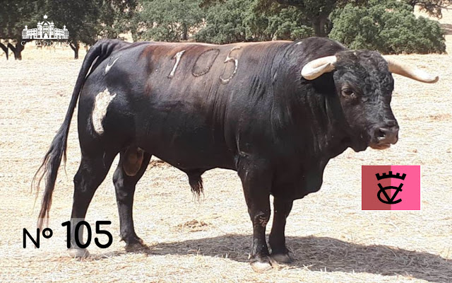 Toros de Herederos de Varela Crujo para la despedida de Padilla de Portugal.