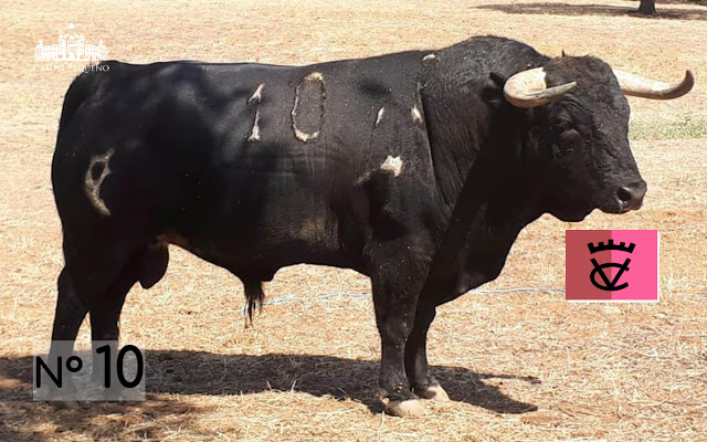 Toros de Herederos de Varela Crujo para la despedida de Padilla de Portugal.
