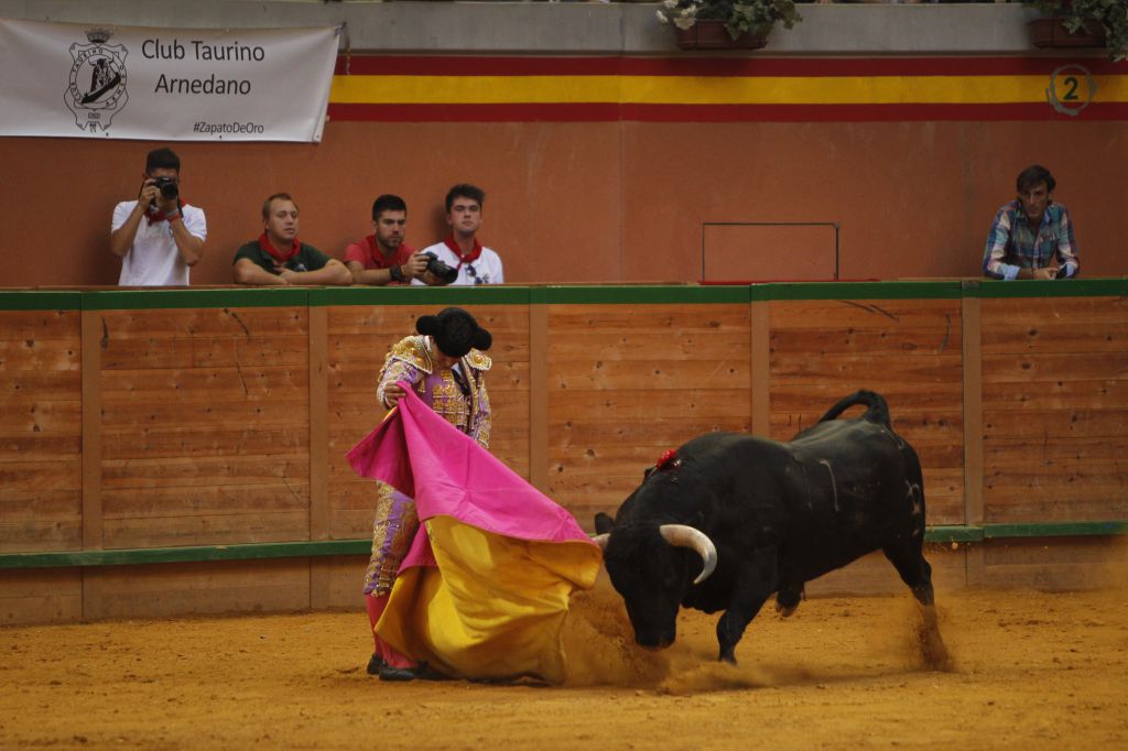 Arnedo - Novillada - Feria Zapato de Oro - Sábado 29 de septiembre de 2018