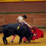 Arnedo - Novillada - Feria Zapato de Oro - Sábado 29 de septiembre de 2018