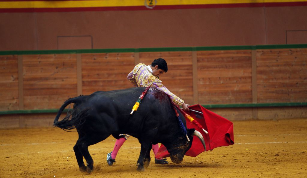 Arnedo - Novillada - Feria Zapato de Oro - Sábado 29 de septiembre de 2018