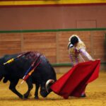 Arnedo - Novillada - Feria Zapato de Oro - Sábado 29 de septiembre de 2018
