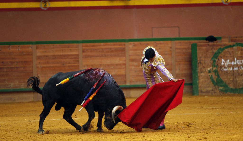 Arnedo - Novillada - Feria Zapato de Oro - Sábado 29 de septiembre de 2018