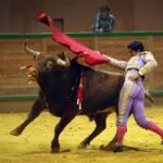 Arnedo - Novillada - Feria Zapato de Oro - Sábado 29 de septiembre de 2018
