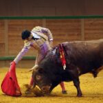 Arnedo - Novillada - Feria Zapato de Oro - Sábado 29 de septiembre de 2018