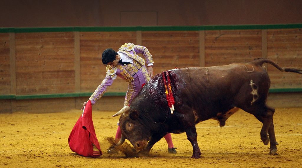 Arnedo - Novillada - Feria Zapato de Oro - Sábado 29 de septiembre de 2018